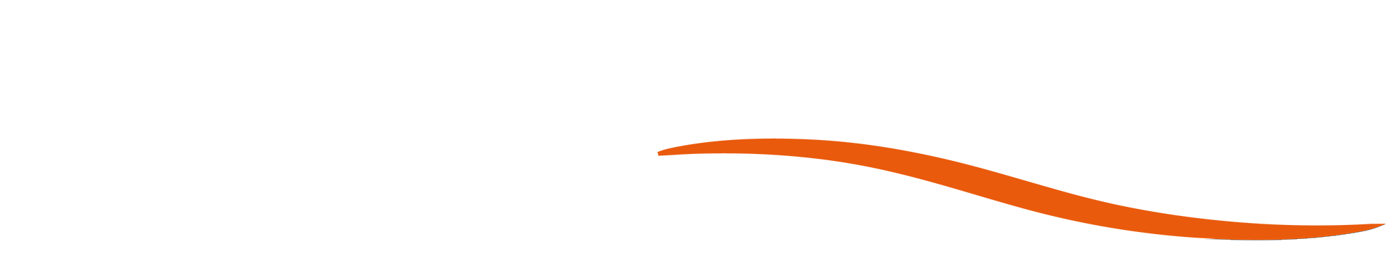 Clever logo